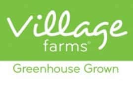 : vff | Village Farms International Inc. News, Ratings, and Charts