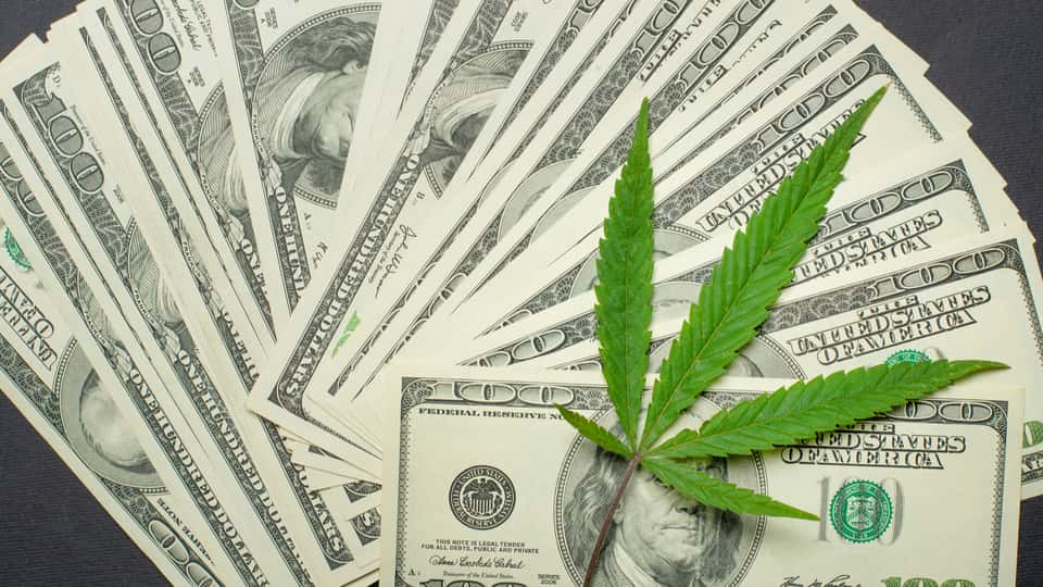 : ACB | Aurora Cannabis Inc. News, Ratings, and Charts