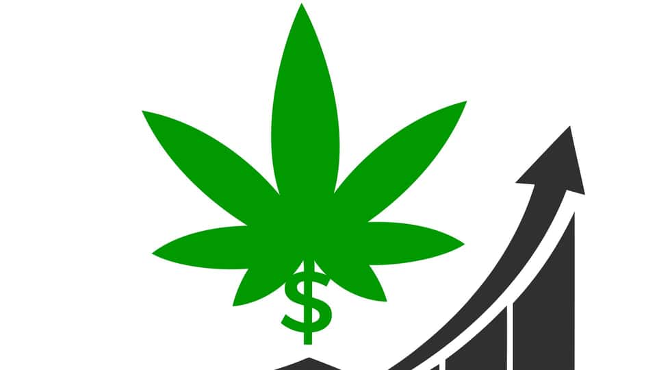 : TLRY | Tilray Brands Inc. Cl 2 News, Ratings, and Charts