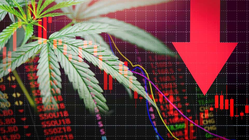 : ctst | CannTrust Holdings Inc. Common Shares News, Ratings, and Charts