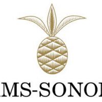 williams-sonoma-wsm-logo