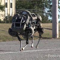 boston-dynamics