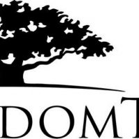 WisdomTree-Investments-Logo