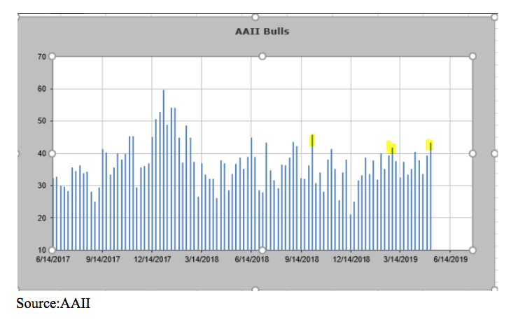 aaii bulls may 2019