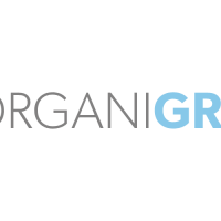 organigram-vector-logo