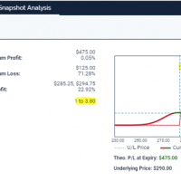 profit loss snapshot analysis