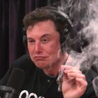 Elon Musk Smoking Pot