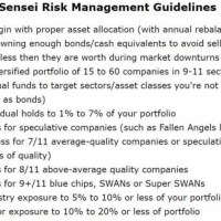 DS Risk Management Guidelines