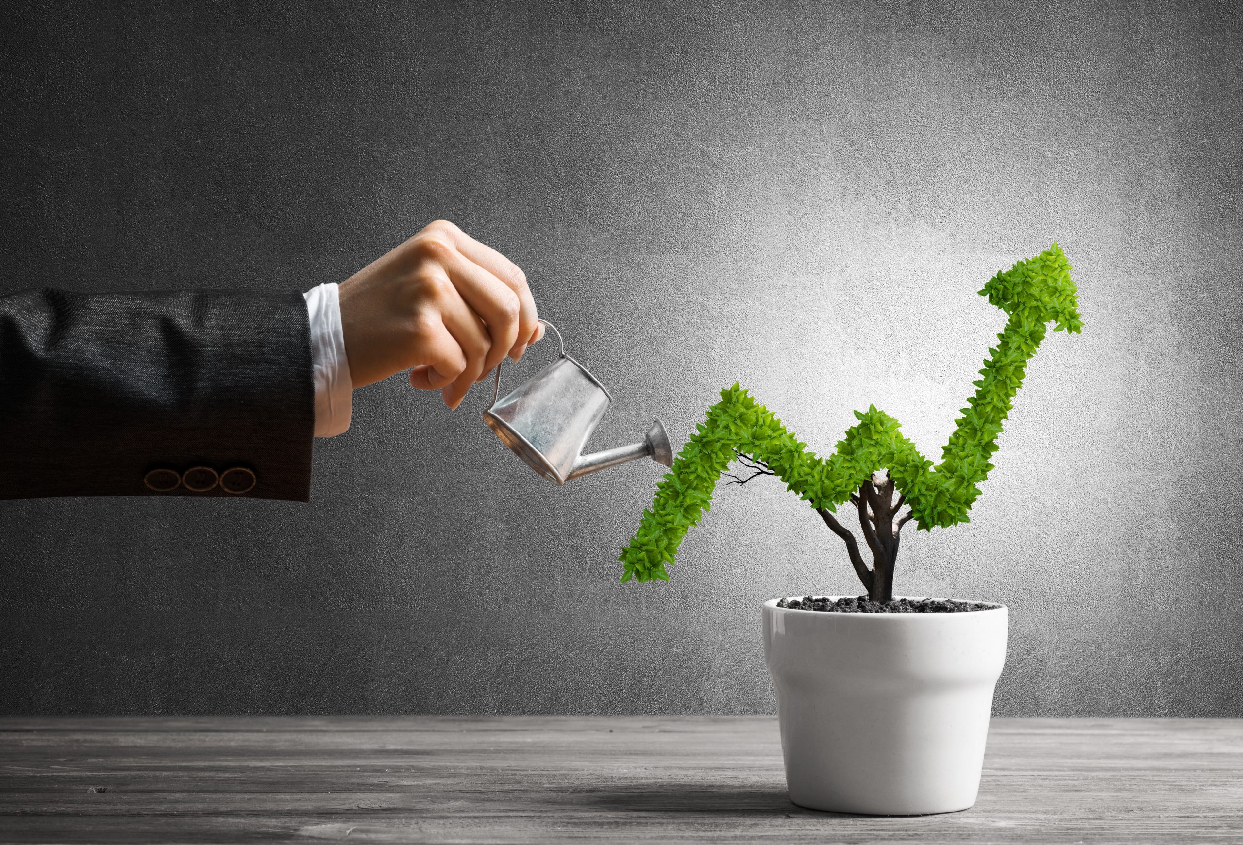 investing in a growth company